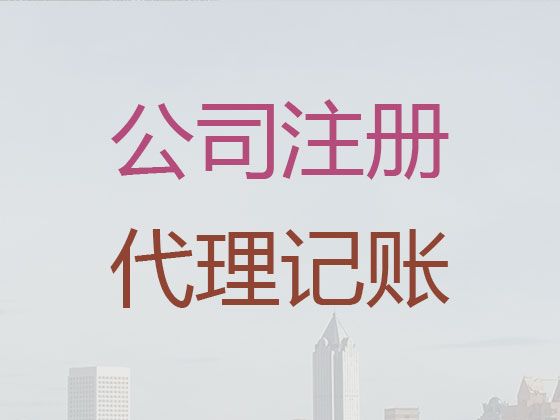 三亚财务公司代理记账|代理合伙企业记账/做账